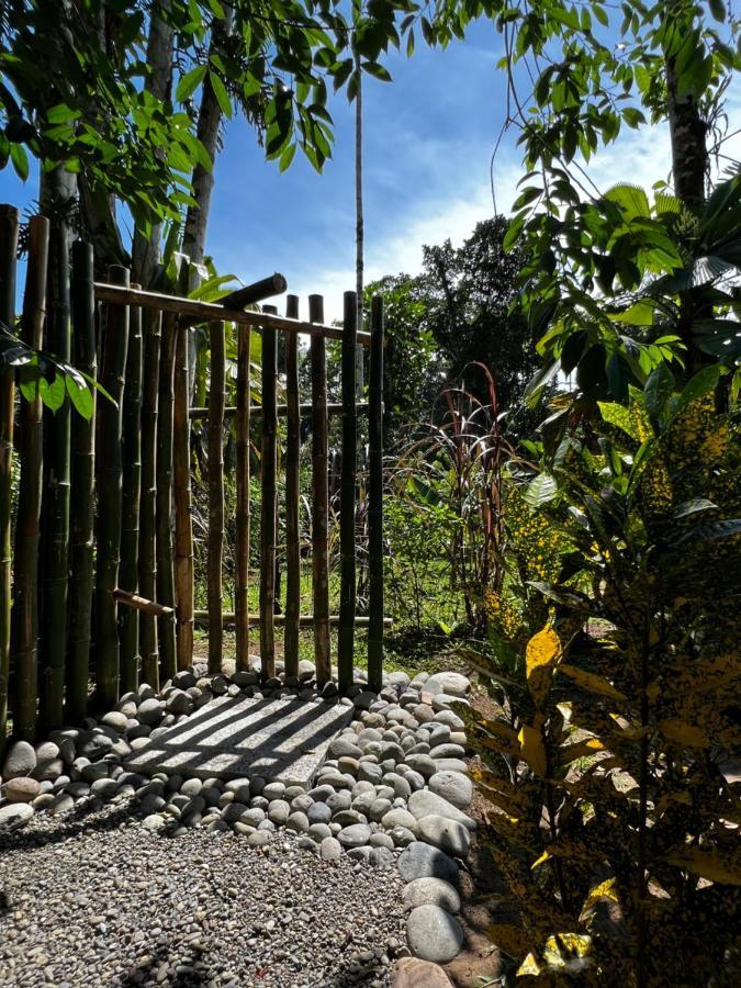Whispering Wisdom Villa Cahuita Exterior photo